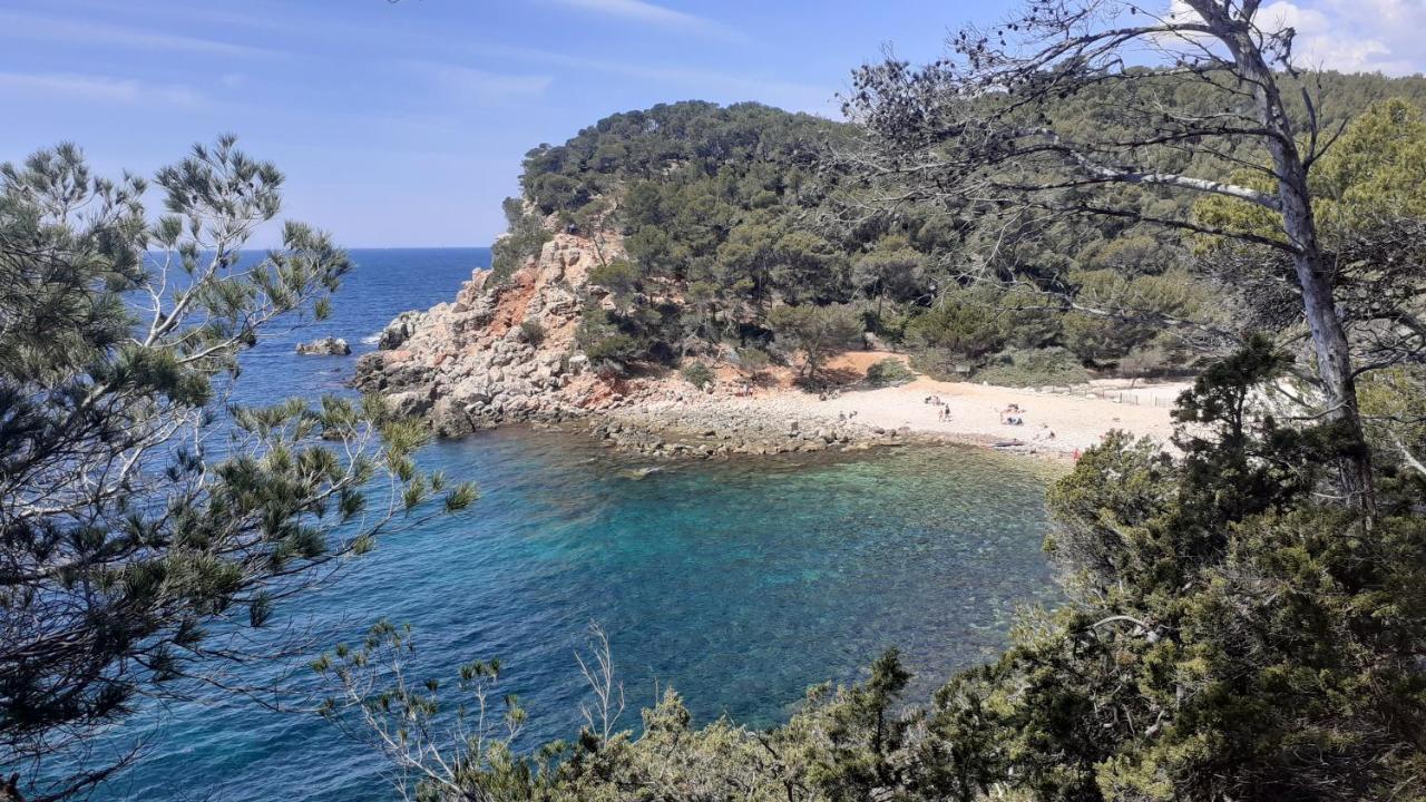 Bandol Maison De Campagne Zewnętrze zdjęcie
